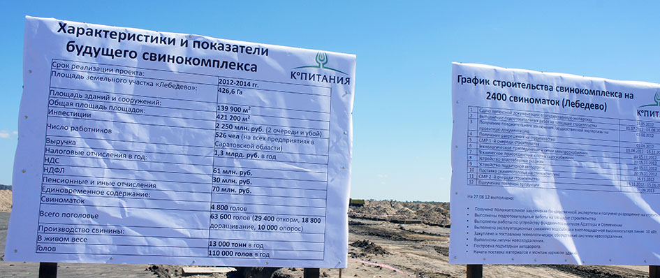 поголовье свиней Лебедево