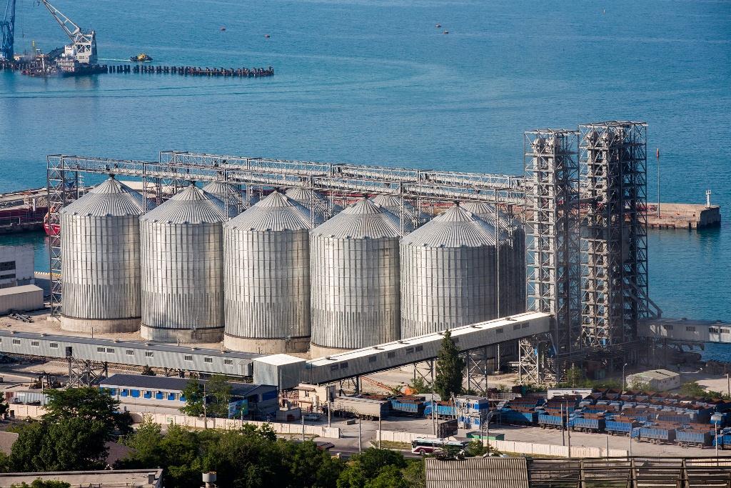 экспорт зерна
