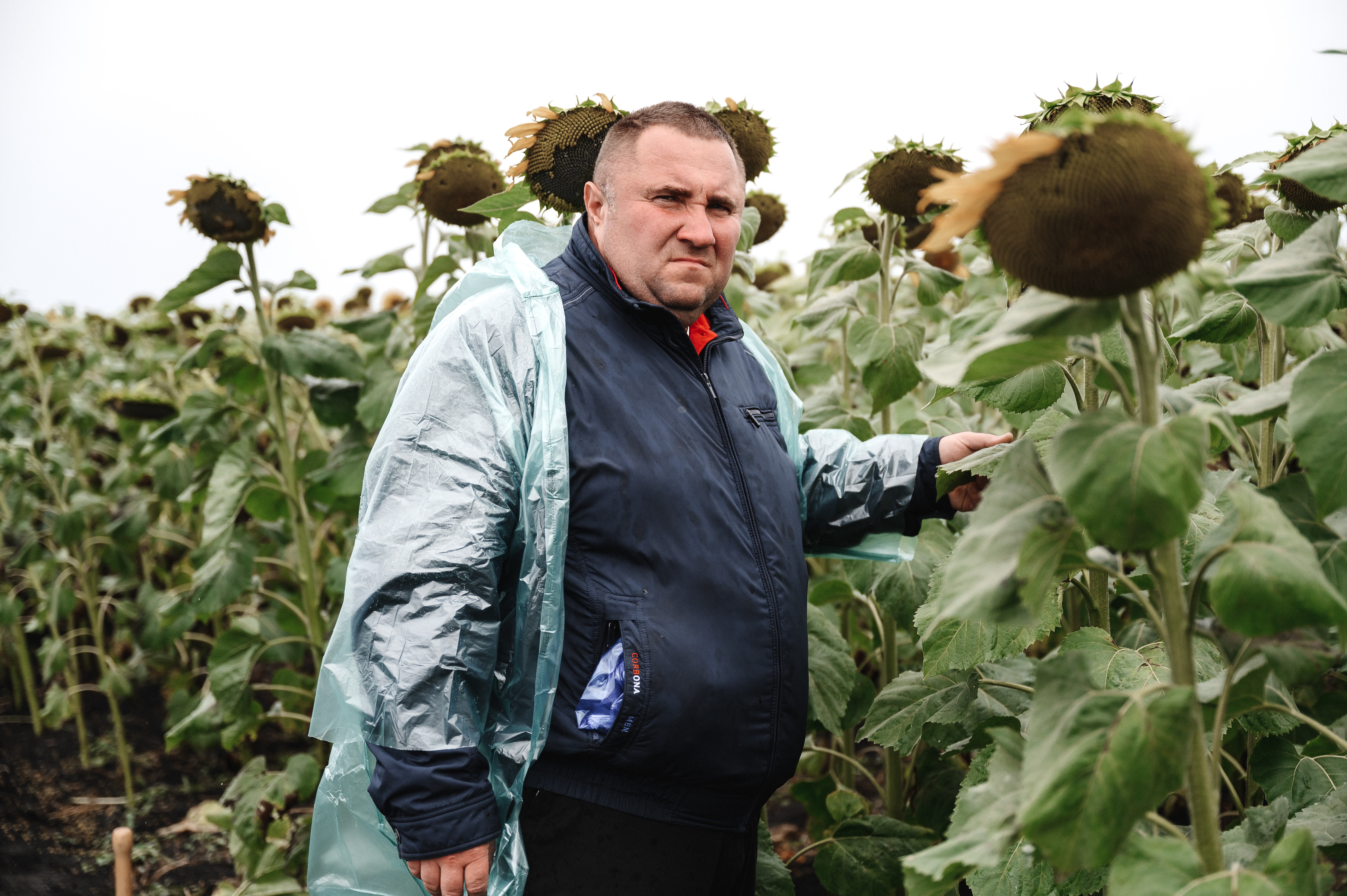 Дмитрий Наумов, блогер, АПК, Калининский район, Саратовская область