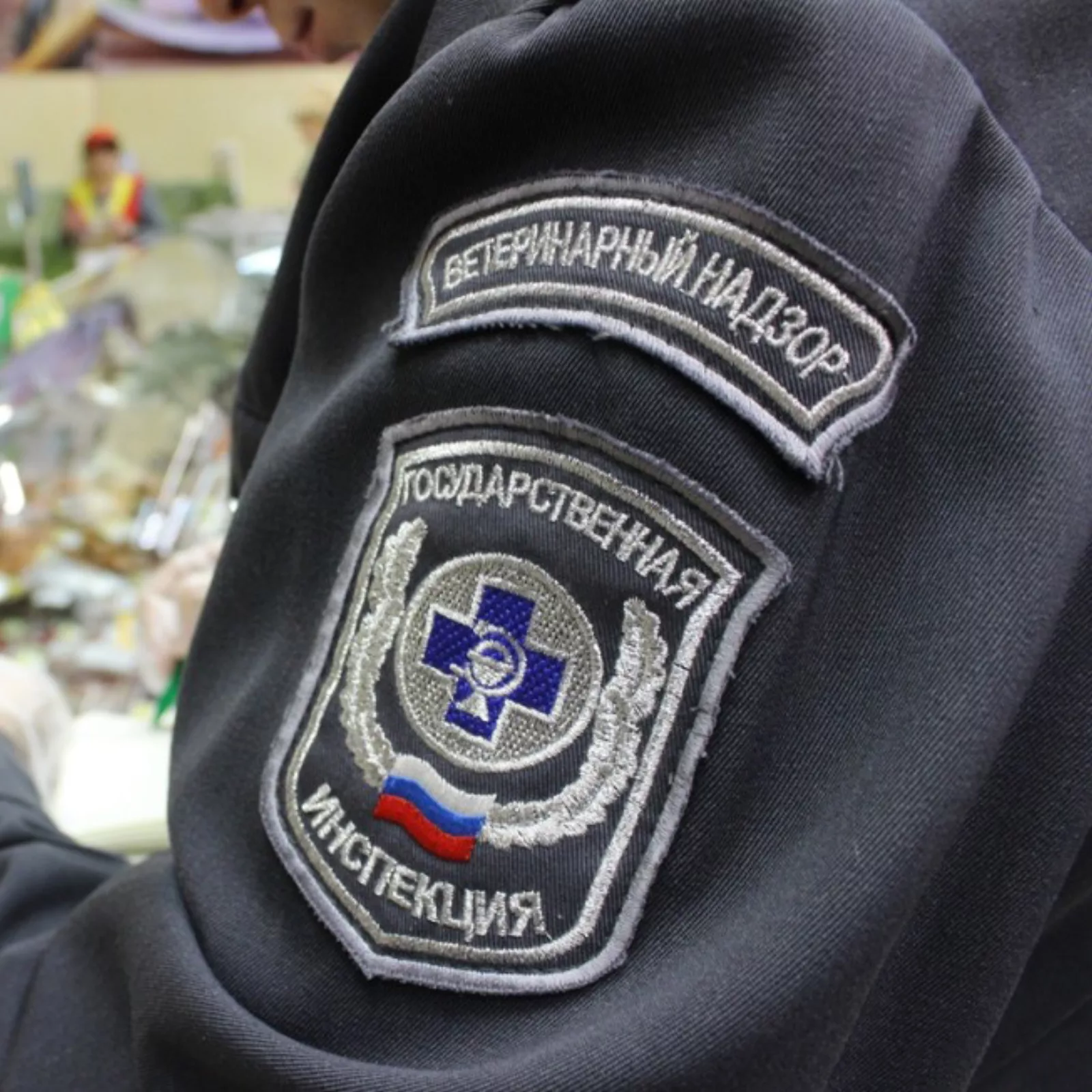 МСХ РФ,Лебедев