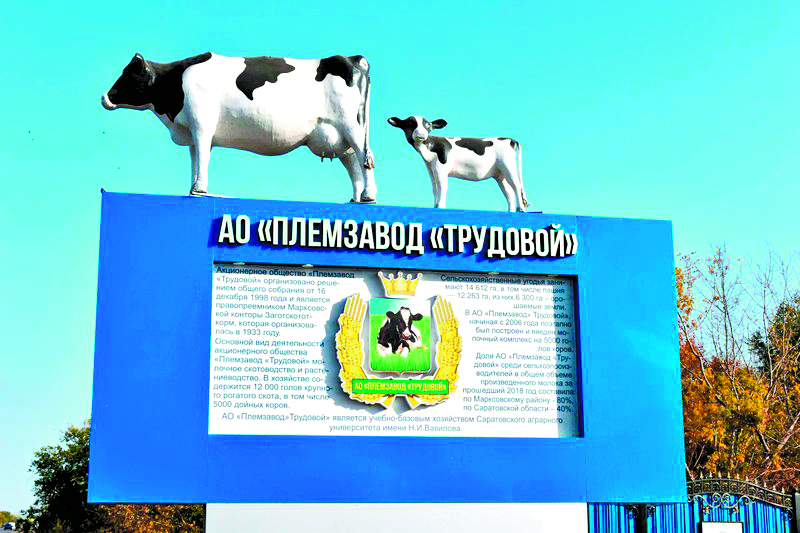 День молока