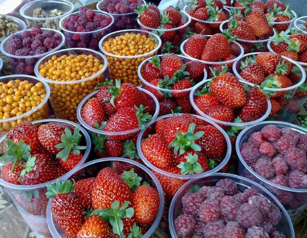 НДС, Дмитрий Медведев, плодово-ягодная продукция