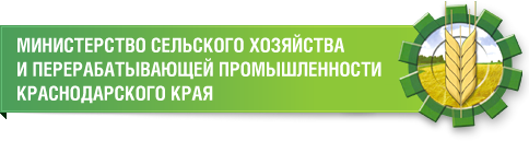 Краснодарский край,Кубань,«Международная кооперация и экспорт»,Вениамин Кондратьев,АПК,КФХ,МСХ