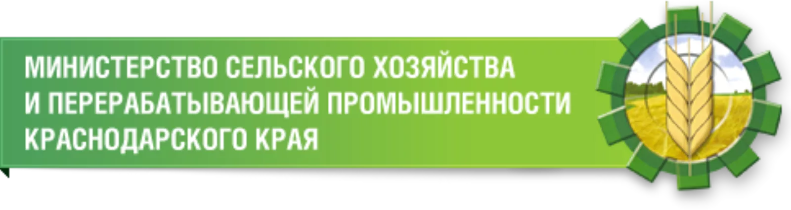 Краснодарский край,Кубань,«Международная кооперация и экспорт»,Вениамин Кондратьев,АПК,КФХ,МСХ