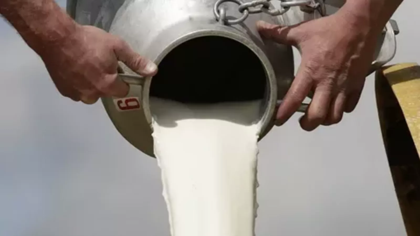 Упорский район,Тюмень,2019,лейкоз,молоко,санэпидемстанция