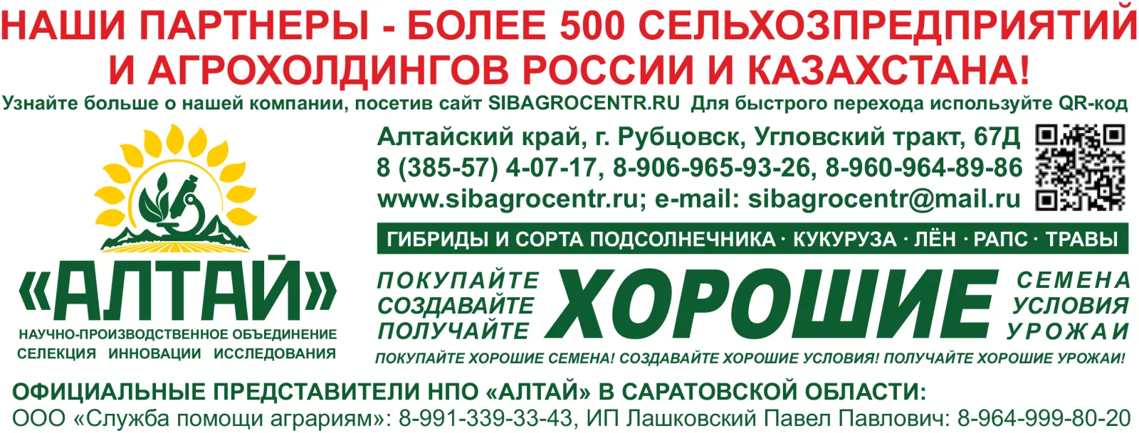В рамках государственной программы импортозамещения в научно-производственном объединении «Алтай»* созданы новые высокопродуктивные скороспелые гибриды подсолнечника Синтез и Союз