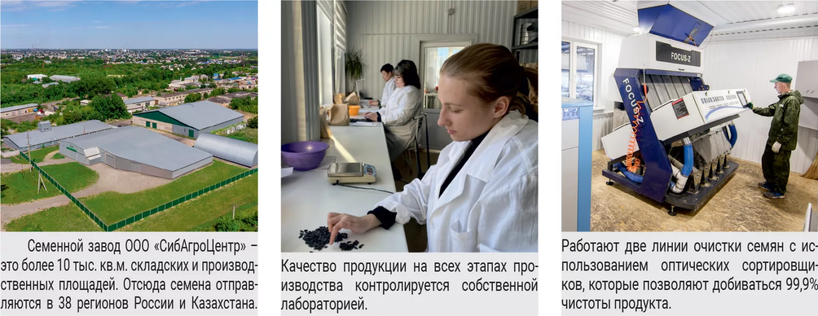 В рамках государственной программы импортозамещения в научно-производственном объединении «Алтай»* созданы новые высокопродуктивные скороспелые гибриды подсолнечника Синтез и Союз