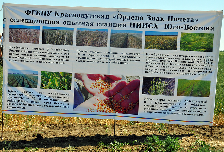 краснокутская станция